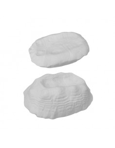 MISCELANEA BOL TORTUGA...