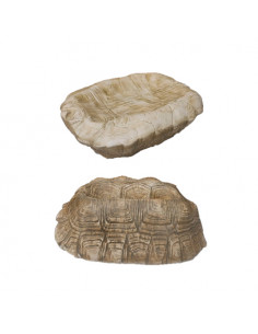 MISCELANEA BOL TORTUGA...