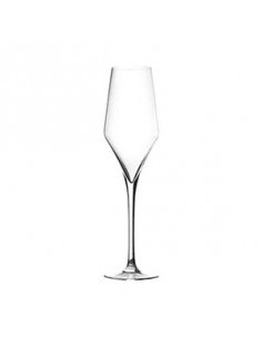 GALA COPA CAVA h 240 mm 21 cl
