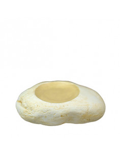 PIEDRA DEL QUEMA COLOUR 22 CM